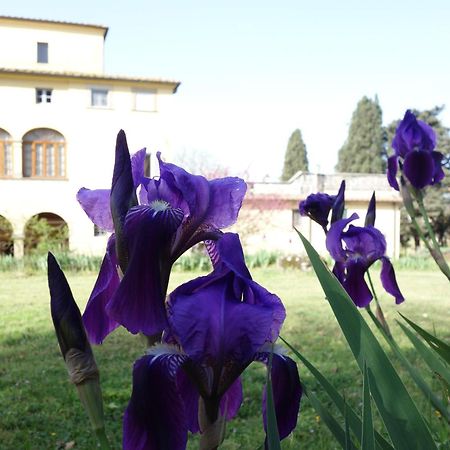 Bella Di Ceciliano Bed & Breakfast Arezzo Bagian luar foto