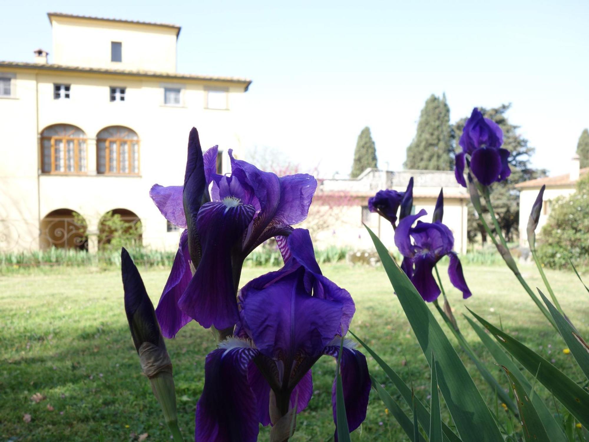 Bella Di Ceciliano Bed & Breakfast Arezzo Bagian luar foto