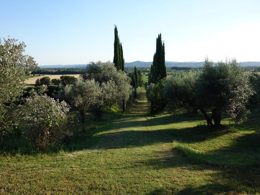 Bella Di Ceciliano Bed & Breakfast Arezzo Bagian luar foto