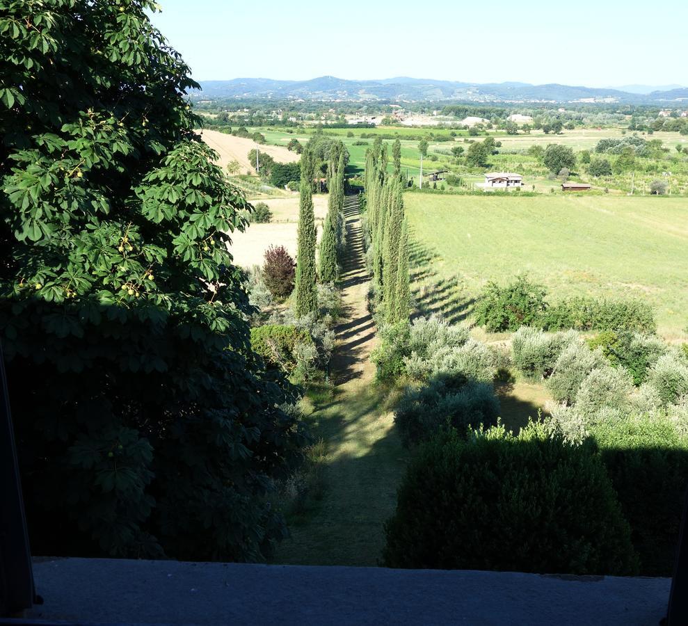 Bella Di Ceciliano Bed & Breakfast Arezzo Bagian luar foto